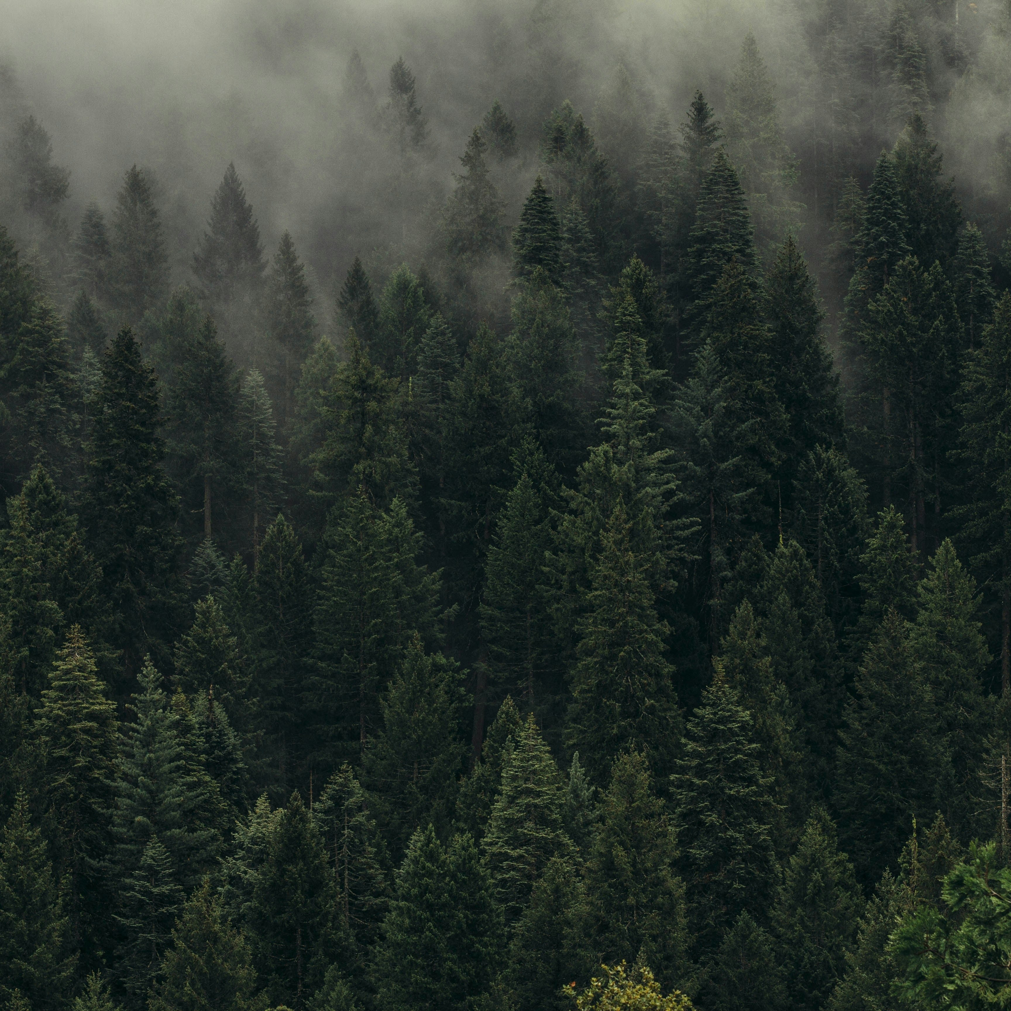 Road To Moraine Lake Wax Melt
