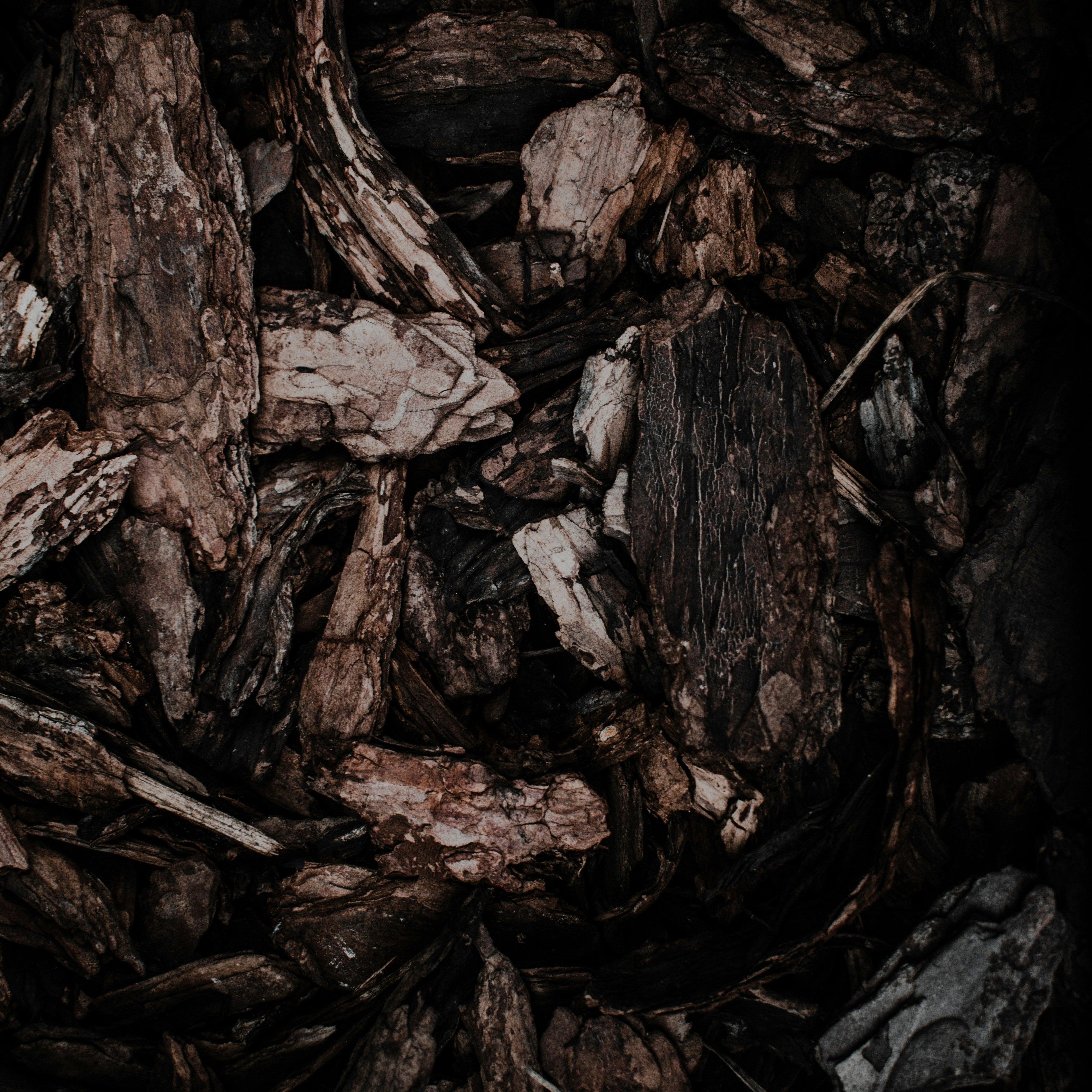 Mahogany Teakwood Wax Melt