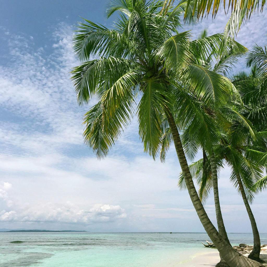 Coconut Beach Candle