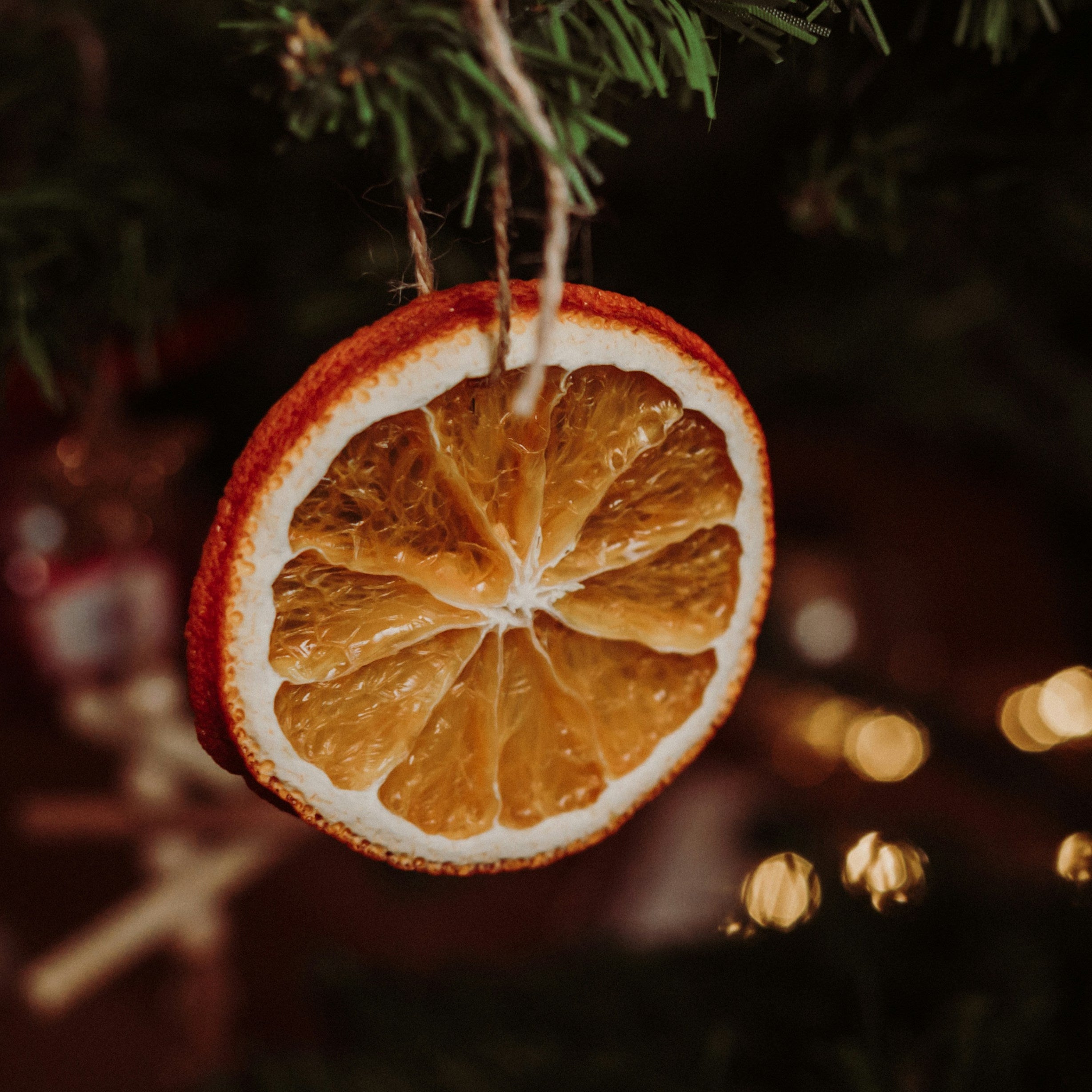 Cranberry Orange Candle