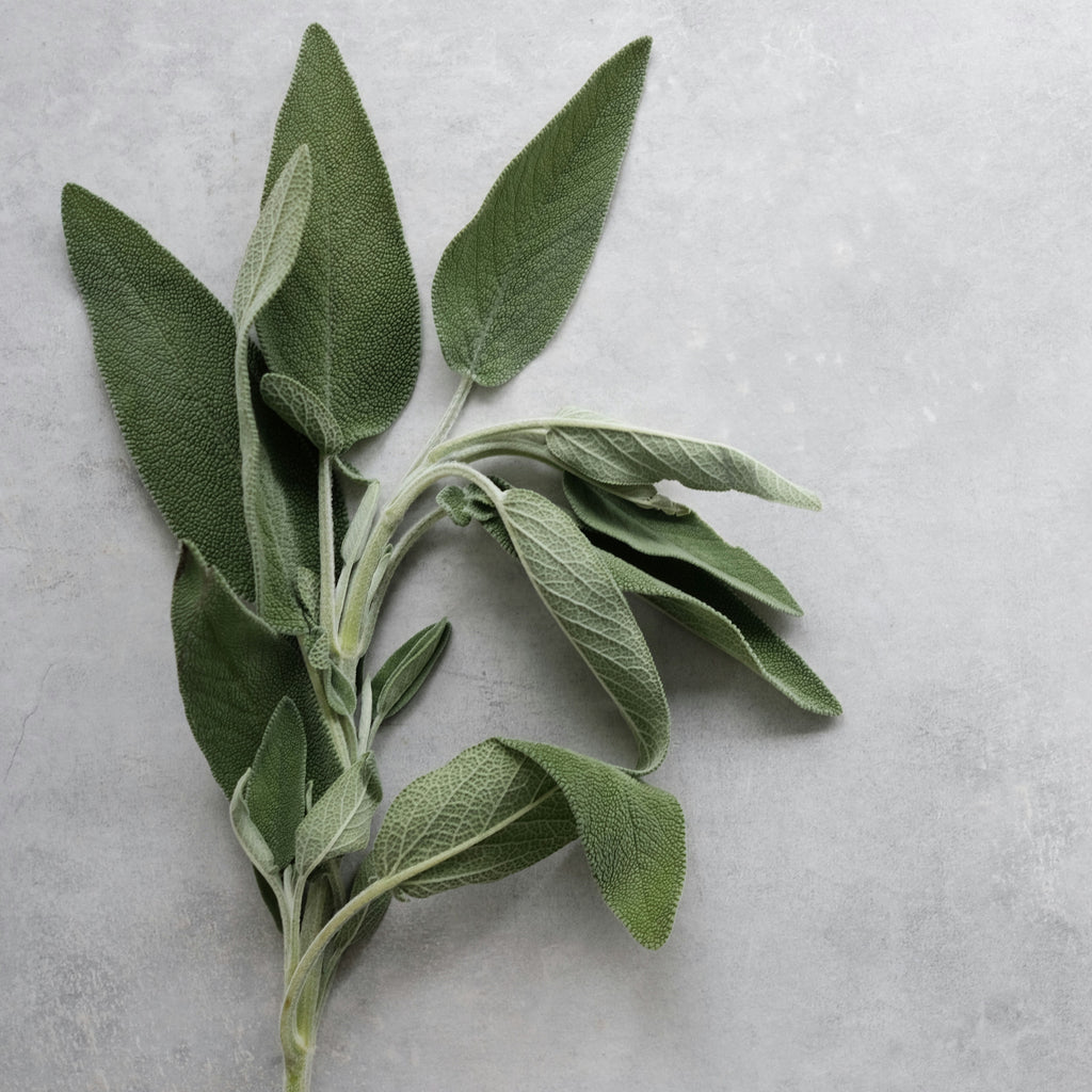 Wood Sage and Sea Salt Car Diffuser