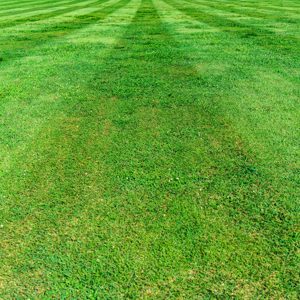 Clean Cut Lawn Candle