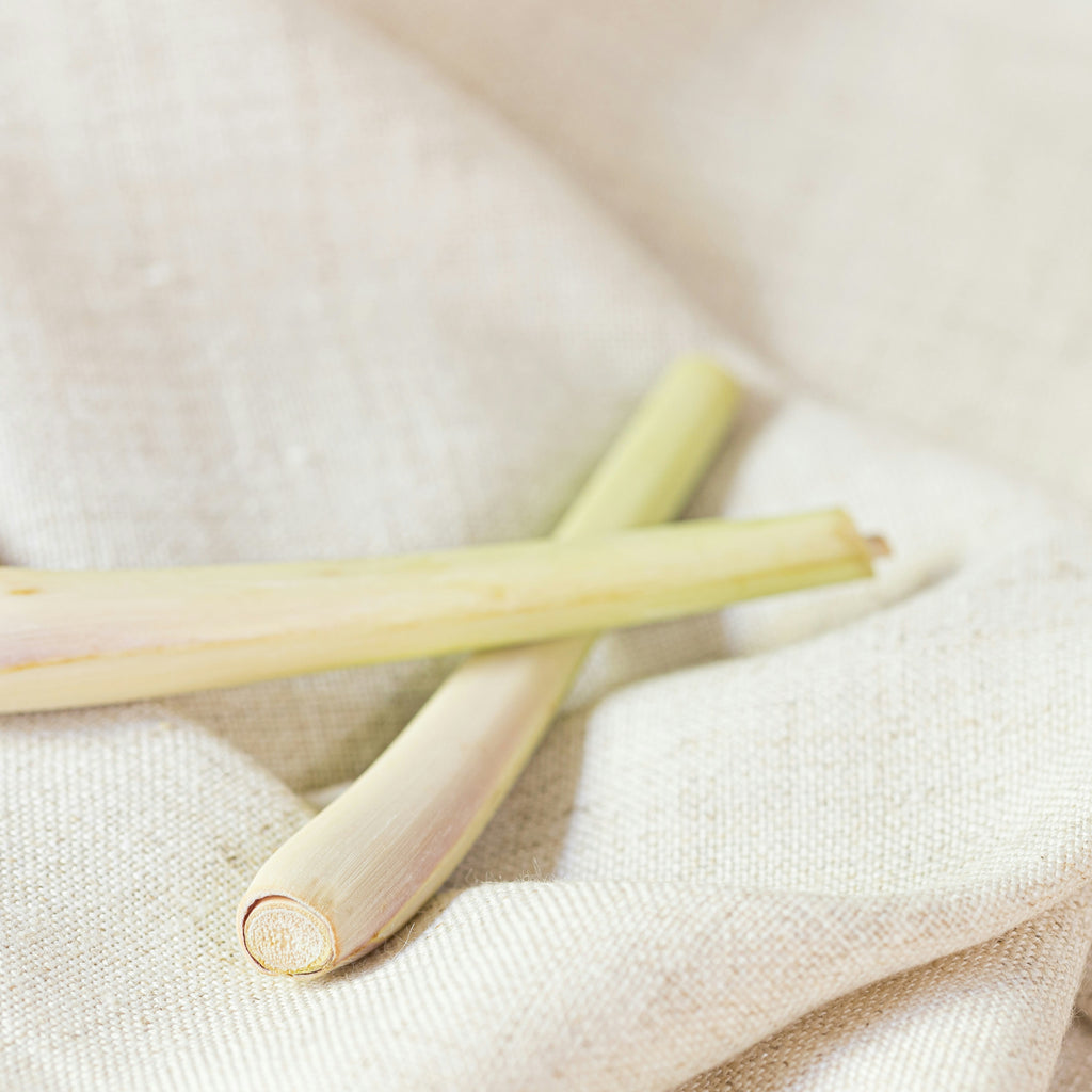 Fondant à cire parfumé Lemongrass Verbena